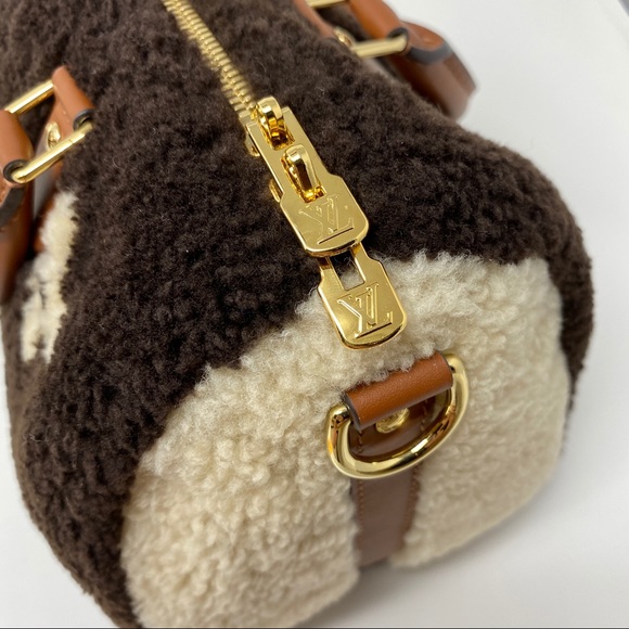 Louis Vuitton Speedy 25 Monogram Teddy Fleece - Picture 9 of 16